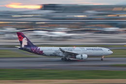 ちゅーしーさんが、羽田空港で撮影したハワイアン航空 A330-243の航空フォト（飛行機 写真・画像）