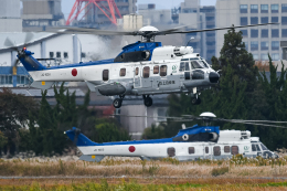 航空フォト：01024 陸上自衛隊 H225