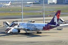 Espace77さんが、羽田空港で撮影したハワイアン航空 A330-243の航空フォト（飛行機 写真・画像）