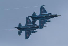 築城基地の撮影スポット「基地外縁2」で、avx4411さんが撮影した飛行機の写真です。