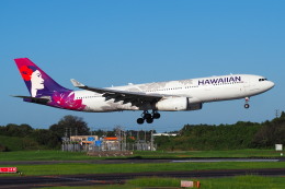 えぬえむさんが、成田国際空港で撮影したハワイアン航空 A330-243の航空フォト（飛行機 写真・画像）