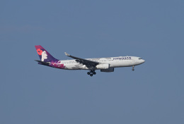 フリーの技術屋さんが、羽田空港で撮影したハワイアン航空 A330-243の航空フォト（飛行機 写真・画像）