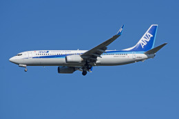 apphgさんが、静岡空港で撮影した全日空 737-8ALの航空フォト（飛行機 写真・画像）