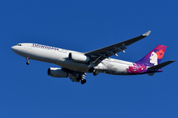 アルビレオさんが、成田国際空港で撮影したハワイアン航空 A330-243の航空フォト（飛行機 写真・画像）