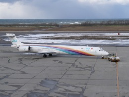 フリーの技術屋さんが、新潟空港で撮影した日本航空 MD-90-30の航空フォト（飛行機 写真・画像）