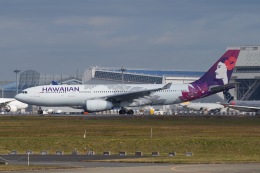 かねさんが、成田国際空港で撮影したハワイアン航空 A330-243の航空フォト（飛行機 写真・画像）