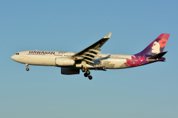 アルビレオさんが、成田国際空港で撮影したハワイアン航空 A330-243の航空フォト（飛行機 写真・画像）