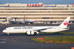 現地の人？さんが、羽田空港で撮影した日本航空 787-9の航空フォト（飛行機 写真・画像）