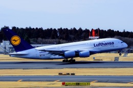 メルシーボクーさんが、成田国際空港で撮影したルフトハンザドイツ航空 A380-841の航空フォト（飛行機 写真・画像）
