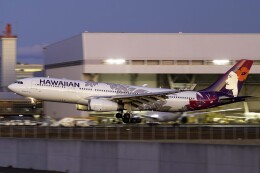 jr2rqcさんが、羽田空港で撮影したハワイアン航空 A330-243の航空フォト（飛行機 写真・画像）