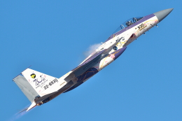 levo2735さんが、茨城空港で撮影した航空自衛隊 F-15J Eagleの航空フォト（飛行機 写真・画像）