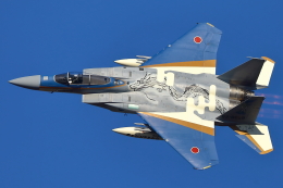 levo2735さんが、茨城空港で撮影した航空自衛隊 F-15J Eagleの航空フォト（飛行機 写真・画像）