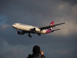 秋刀魚ちゃんさんが、成田国際空港で撮影したハワイアン航空 A330-243の航空フォト（飛行機 写真・画像）