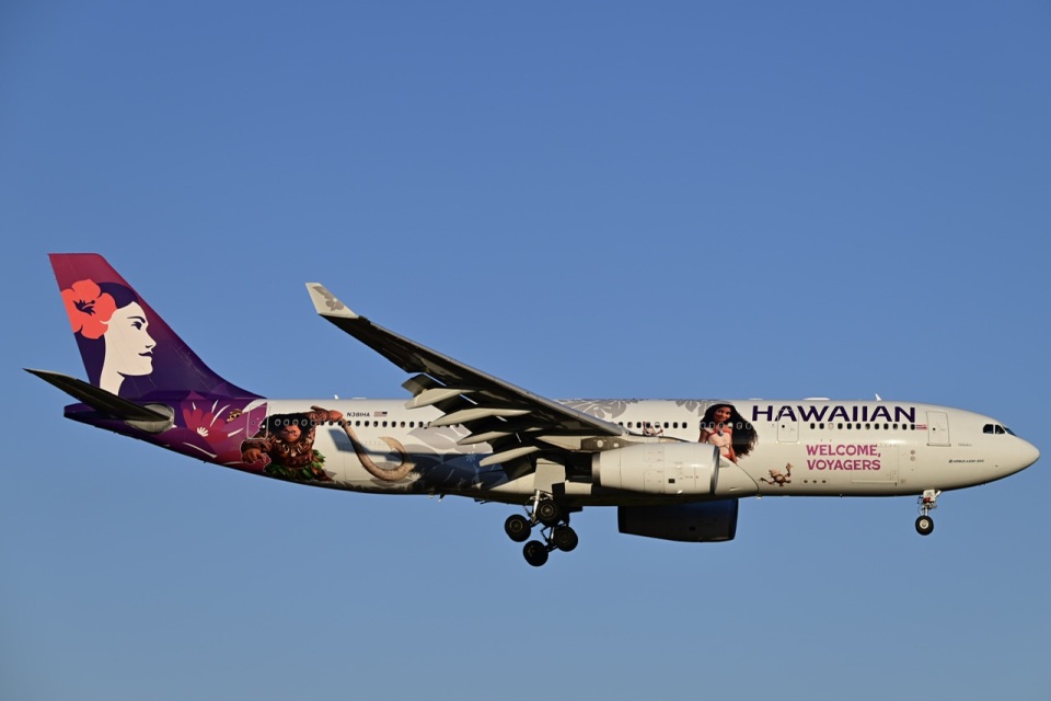 HAWAIIAN AIRLINES A330-200 ハワイアン航空 エアバス ハワイアン航空 「 エアバス A330-200 」 （ N373HA ） 2023年1