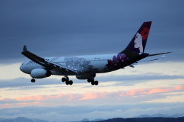 やまけんさんが、仙台空港で撮影したハワイアン航空 A330-243の航空フォト（飛行機 写真・画像）