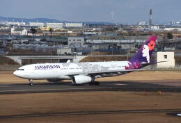 kumagorouさんが、仙台空港で撮影したハワイアン航空 A330-243の航空フォト（飛行機 写真・画像）