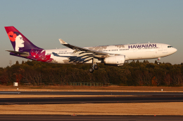 A.Tさんが、成田国際空港で撮影したハワイアン航空 A330-243の航空フォト（飛行機 写真・画像）