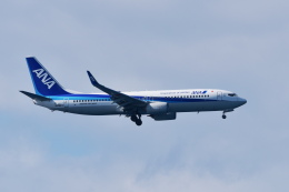 sukiさんが、那覇空港で撮影した全日空 737-8ALの航空フォト（飛行機 写真・画像）