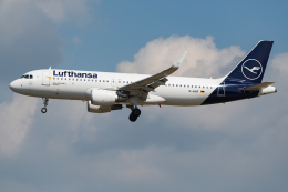 航空フォト：D-AIWF ルフトハンザドイツ航空 A320