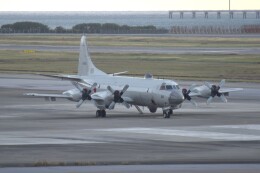 kumagorouさんが、那覇空港で撮影した海上自衛隊 P-3Cの航空フォト（飛行機 写真・画像）