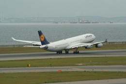 トト゛さんが、中部国際空港で撮影したルフトハンザドイツ航空 A340-313の航空フォト（飛行機 写真・画像）