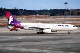 SFJ_capさんが、成田国際空港で撮影したハワイアン航空 A330-243の航空フォト（飛行機 写真・画像）