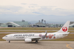 【通常塗装】JAL 日本航空 737-800 JA317J 通常塗装】JAL 日本航空 737-800 JA317J ph 1/400 - メルカリ