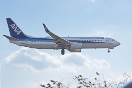 apphgさんが、静岡空港で撮影した全日空 737-881の航空フォト（飛行機 写真・画像）
