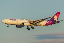 はなちゃんさんが、成田国際空港で撮影したハワイアン航空 A330-243の航空フォト（飛行機 写真・画像）