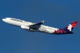 採れたてほしいもさんが、ジョン・F・ケネディ国際空港で撮影したハワイアン航空 A330-243の航空フォト（飛行機 写真・画像）