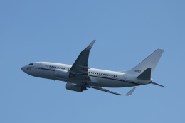 ソユウステック　パドル ソユウステック パドル 166633/166633 aviation photos on JetPhotos
