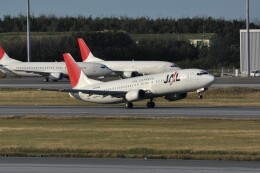 jta様 機体記号 : JA8994 (JTA) 航空機体ガイド | FlyTeam(フライチーム)