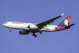 Cozy Gotoさんが、成田国際空港で撮影したハワイアン航空 A330-243の航空フォト（飛行機 写真・画像）