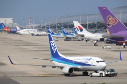 yasunori0624さんが、関西国際空港で撮影した全日空 737-781の航空フォト（飛行機 写真・画像）