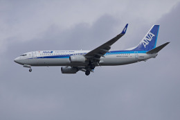 apphgさんが、静岡空港で撮影した全日空 737-8ALの航空フォト（飛行機 写真・画像）