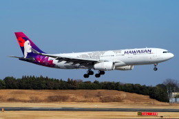 えぬえむさんが、成田国際空港で撮影したハワイアン航空 A330-243の航空フォト（飛行機 写真・画像）