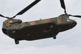 チャーリーマイクさんが、習志野演習場で撮影した陸上自衛隊 CH-47JAの航空フォト（飛行機 写真・画像）