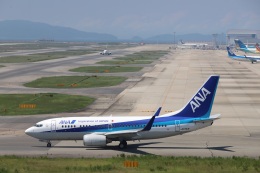 yasunori0624さんが、関西国際空港で撮影した全日空 737-781の航空フォト（飛行機 写真・画像）