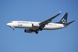 apphgさんが、静岡空港で撮影した全日空 737-881の航空フォト（飛行機 写真・画像）