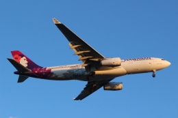 712Aさんが、羽田空港で撮影したハワイアン航空 A330-243の航空フォト（飛行機 写真・画像）