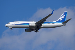 apphgさんが、静岡空港で撮影した全日空 737-881の航空フォト（飛行機 写真・画像）