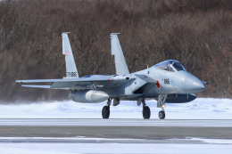 航空自衛隊 F-15Jイーグル F-15J/DJ イーグル “201SQ 30周年記念” | 株式会社 ハセガワ
