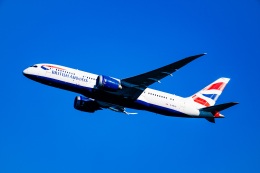 矢塚秀さんが、羽田空港で撮影したブリティッシュ・エアウェイズ 787-8 Dreamlinerの航空フォト（飛行機 写真・画像）