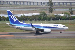 kumagorouさんが、仙台空港で撮影した全日空 737-781の航空フォト（飛行機 写真・画像）