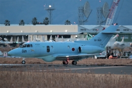 DONKEYさんが、新田原基地で撮影した航空自衛隊 U-125A(Hawker 800)の航空フォト（飛行機 写真・画像）