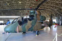 航空フォト：32610 陸上自衛隊 OH-1