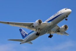全日空商事、7月から9月のモデルプレーン新製品 ANA塗装のMRJ