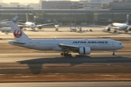 tyo_flyさんが、羽田空港で撮影した日本航空 777-246/ERの航空フォト（飛行機 写真・画像）
