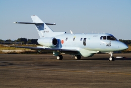 SFJ_capさんが、新田原基地で撮影した航空自衛隊 U-125A(Hawker 800)の航空フォト（飛行機 写真・画像）