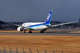 Takehiro-2018さんが、伊丹空港で撮影した全日空 787-8 Dreamlinerの航空フォト（飛行機 写真・画像）